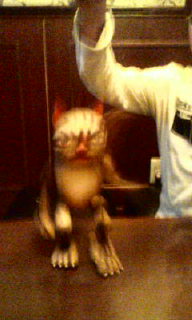 20091031203240.jpg