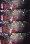 Scan 6.jpeg